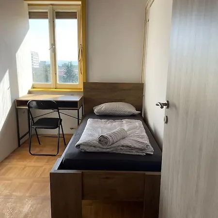 5 Bedrooms Central Ljubljana