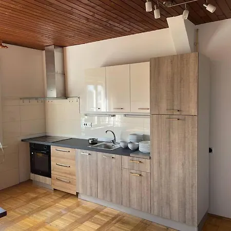 5 Bedrooms Central Ljubljana